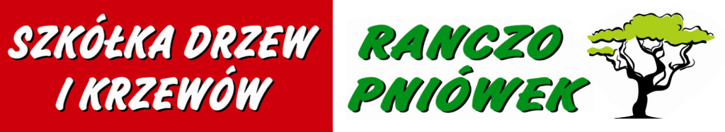 Szkółka Drzew i Krzewów - Ranczo Pniówek